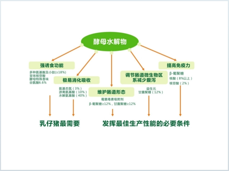 酵母水解物替代血浆蛋白粉在教槽料中的效果作用