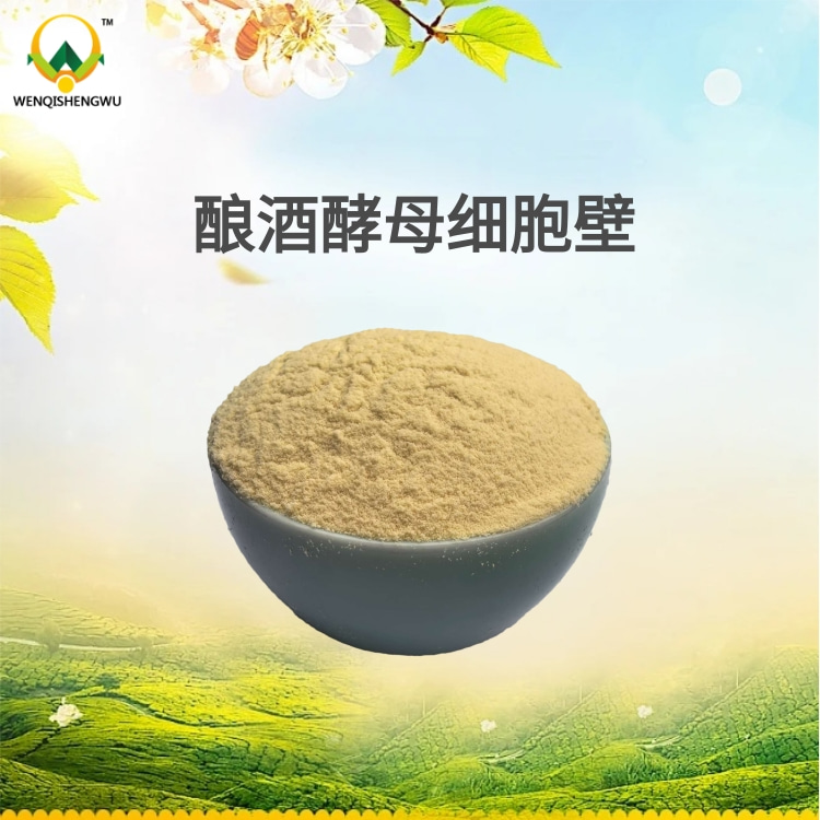 酿酒酵母细胞壁
