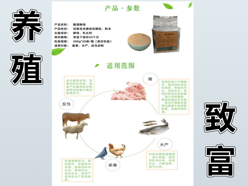 酿酒酵母带给你不一样的养殖体验