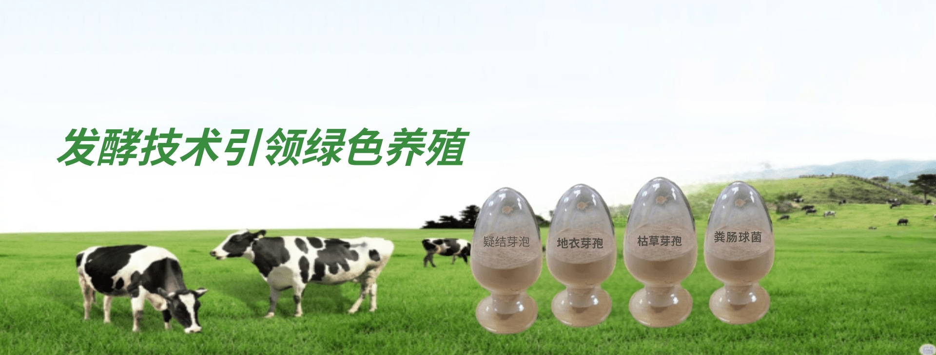 饲料酵母banner